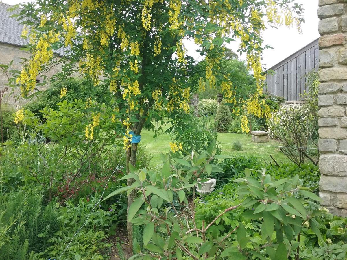 Chambre D'Hote Le 18-20 Saint-Martin-des-Entrées 外观 照片